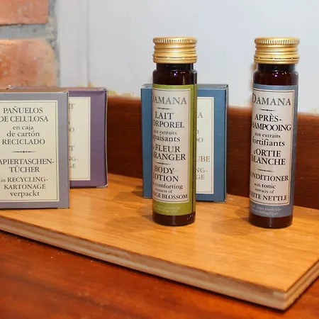 Otel Snoe De Sallent 3 Formigal