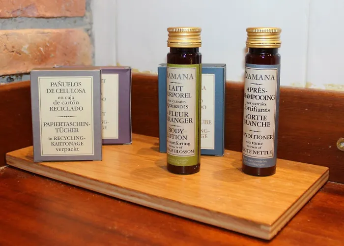 酒店 Snoe De Sallent 3 福米加尔